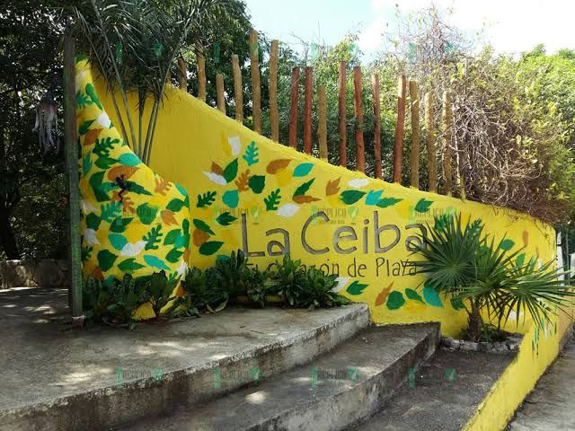 Proponen regidores extender a 15 años comodato del parque La Ceiba de Playa del Carmen