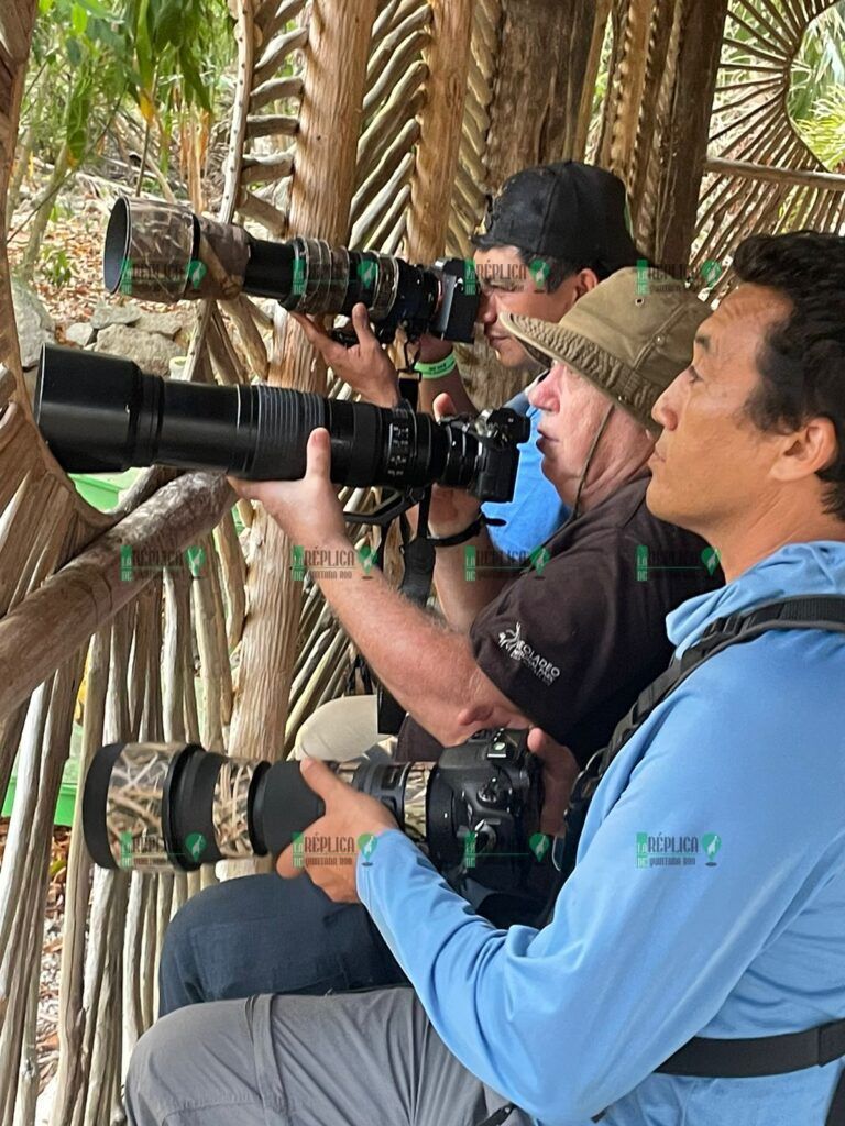 La Fundación de Parques y Museos recibió a observadores de aves de la Península de Yucatán